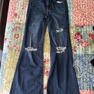 American Eagle Outfitters Blue Flare Wide Leg Jeans